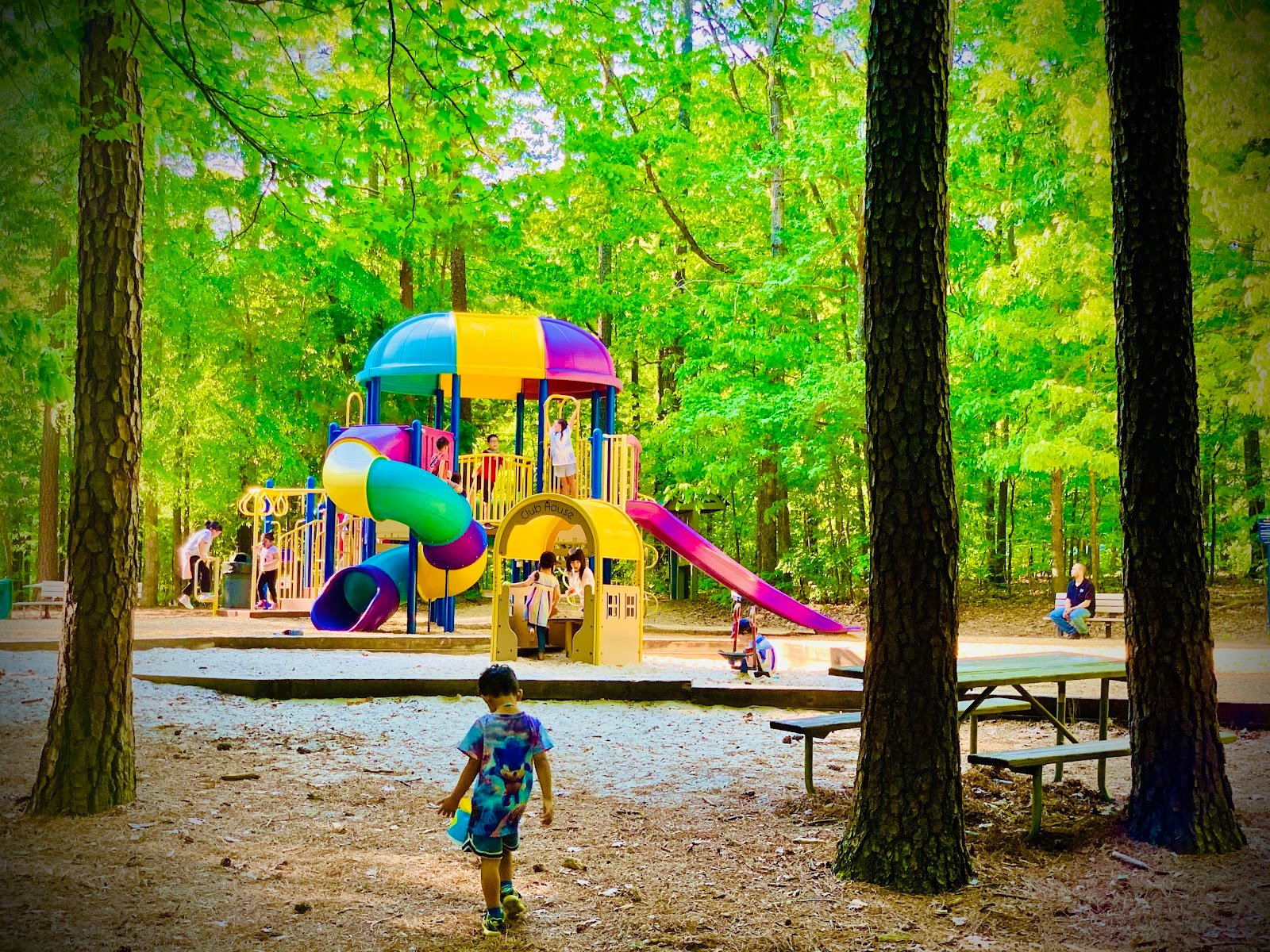 lazy-daze-playground-1