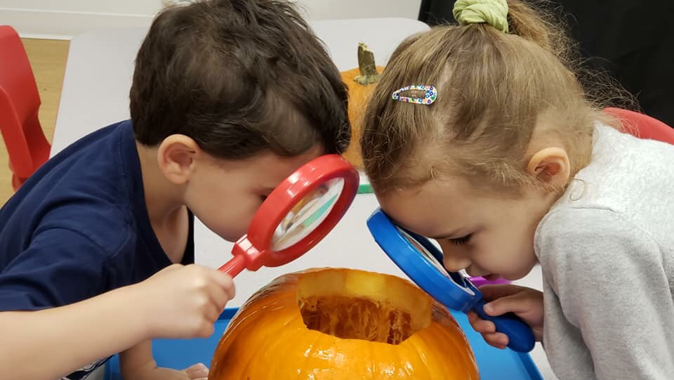 learning-express-toys-play-3