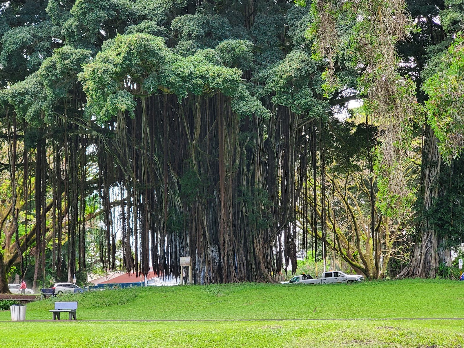 liliuokalani-gardens-2
