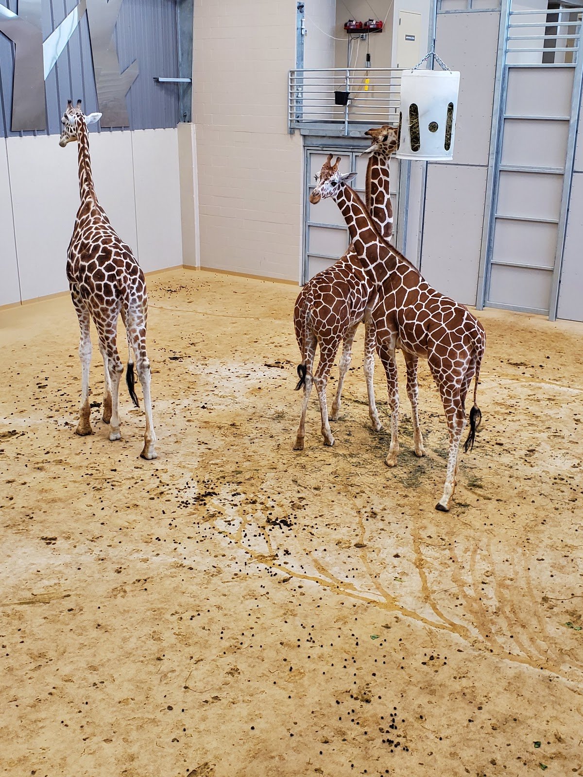 lincoln-childrens-zoo-2