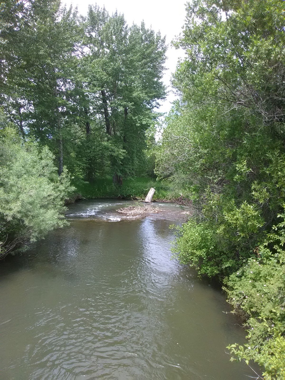 lindley-center-3