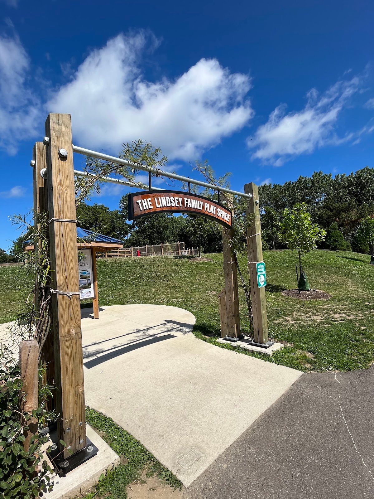 lindsey-family-play-space-2