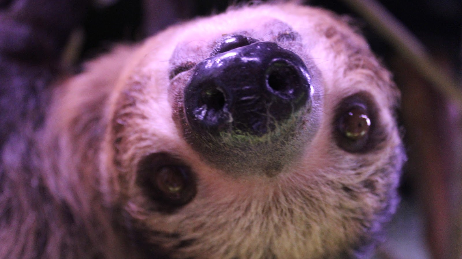 little-rays-nature-center-1