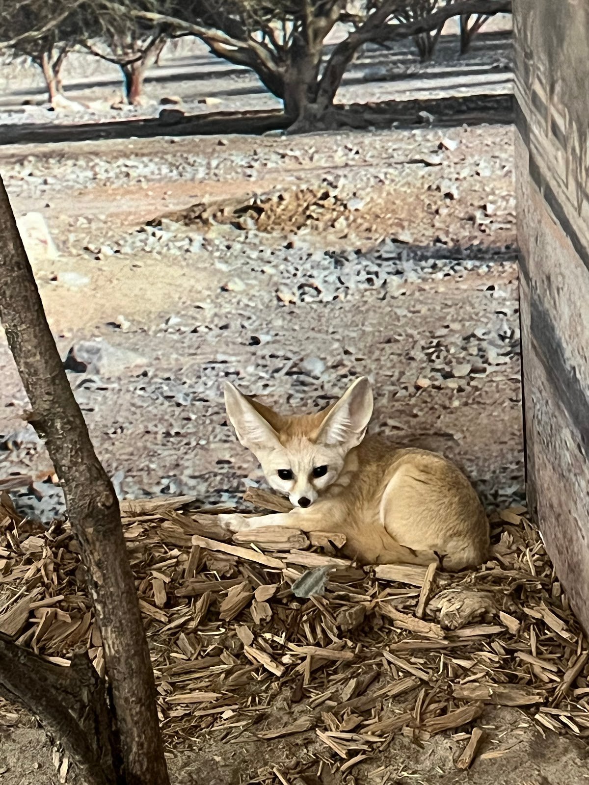 little-rays-nature-center-2