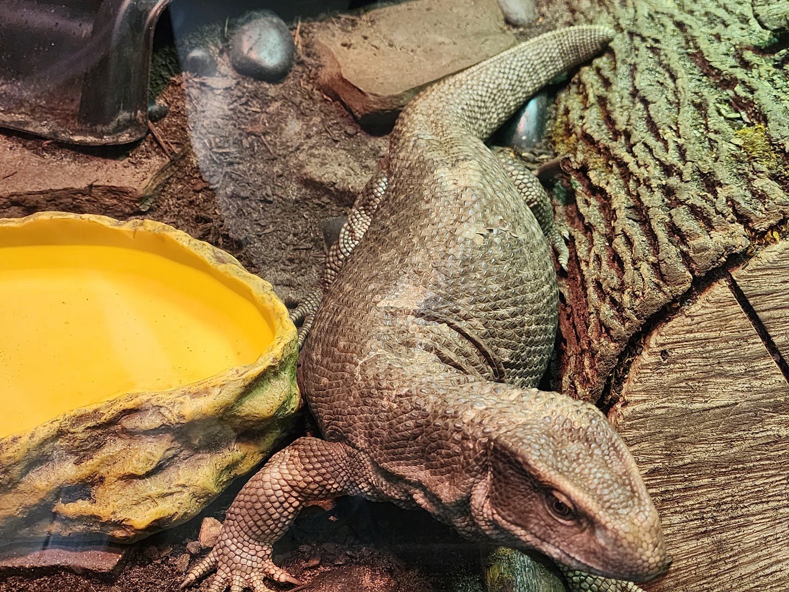 little-rays-nature-center-3