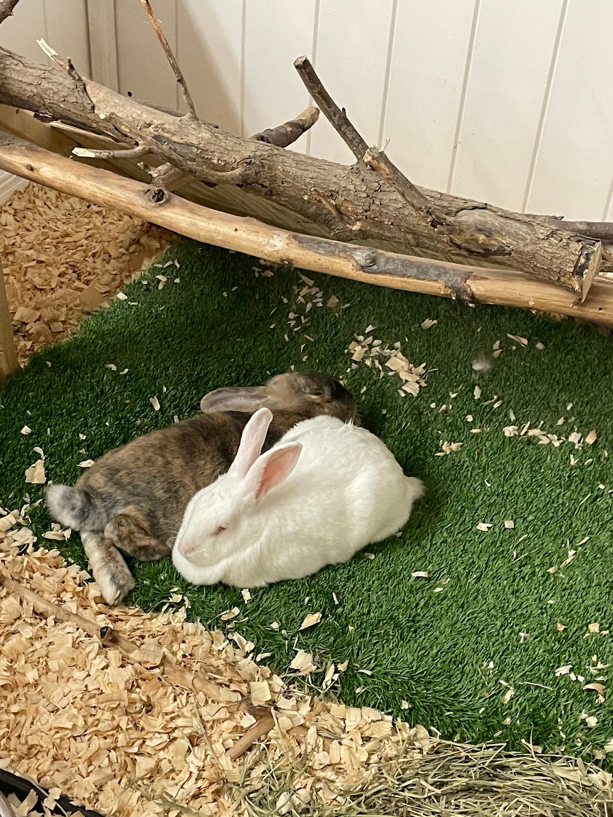 little-rays-nature-center-4