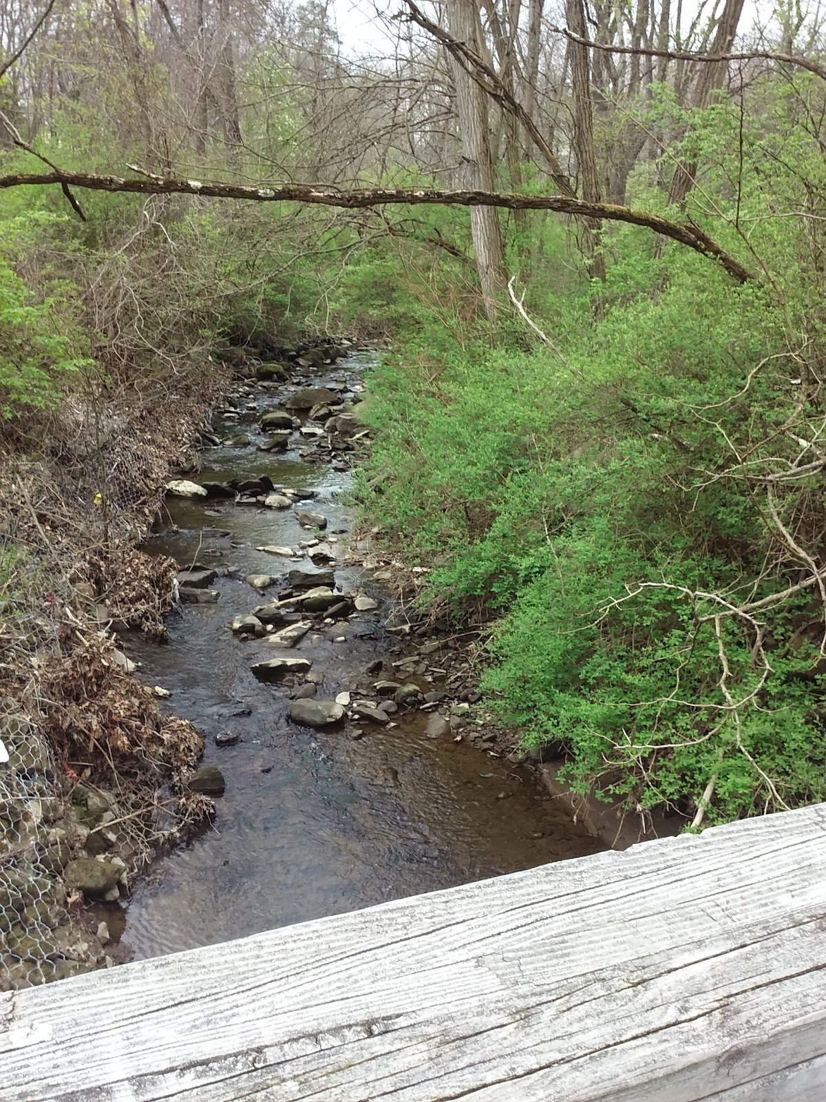 lower-bears-den-picnic-area-2