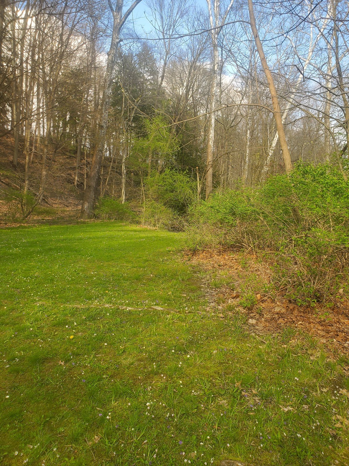 lower-bears-den-picnic-area-3