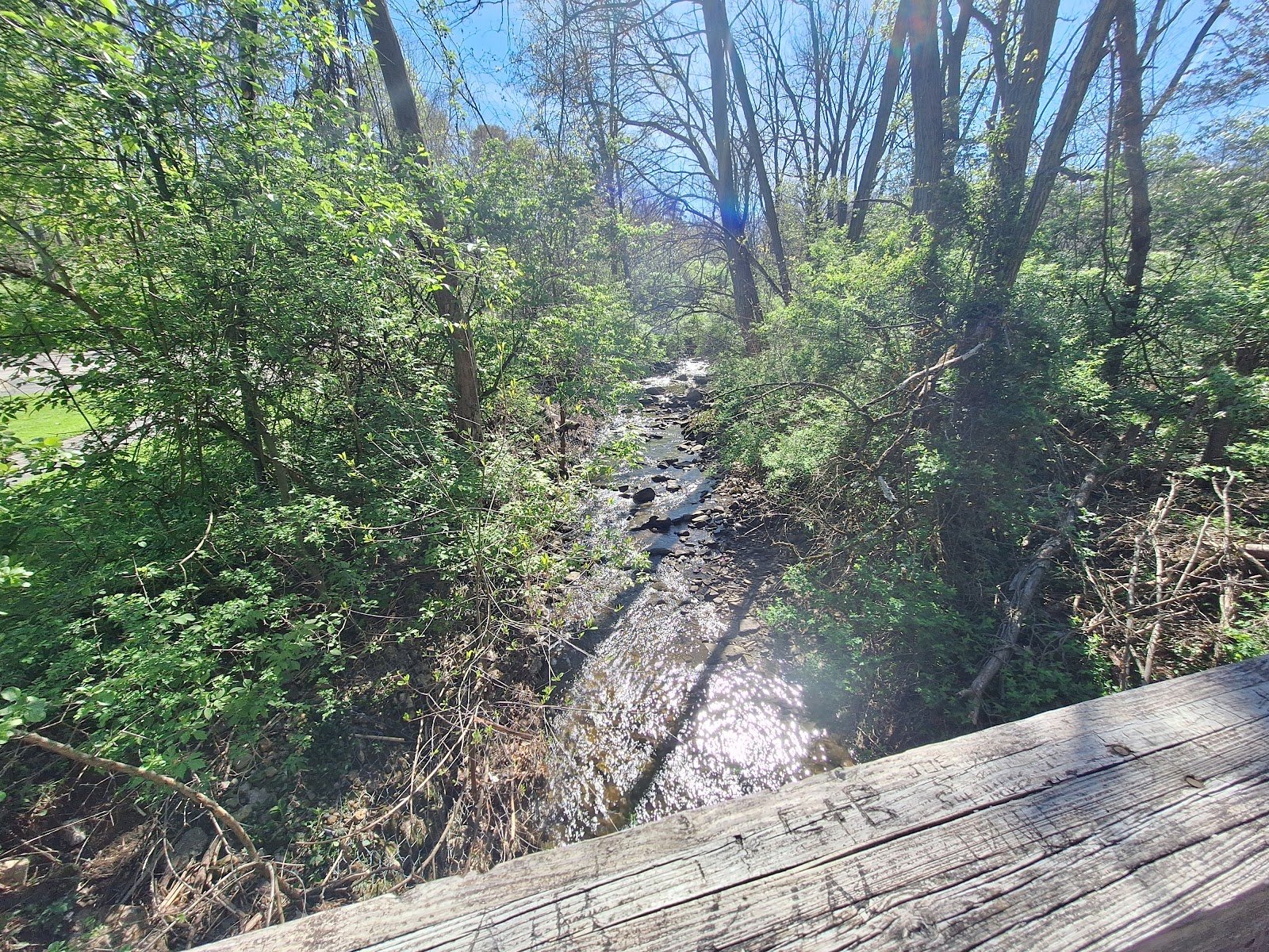 lower-bears-den-picnic-area-4