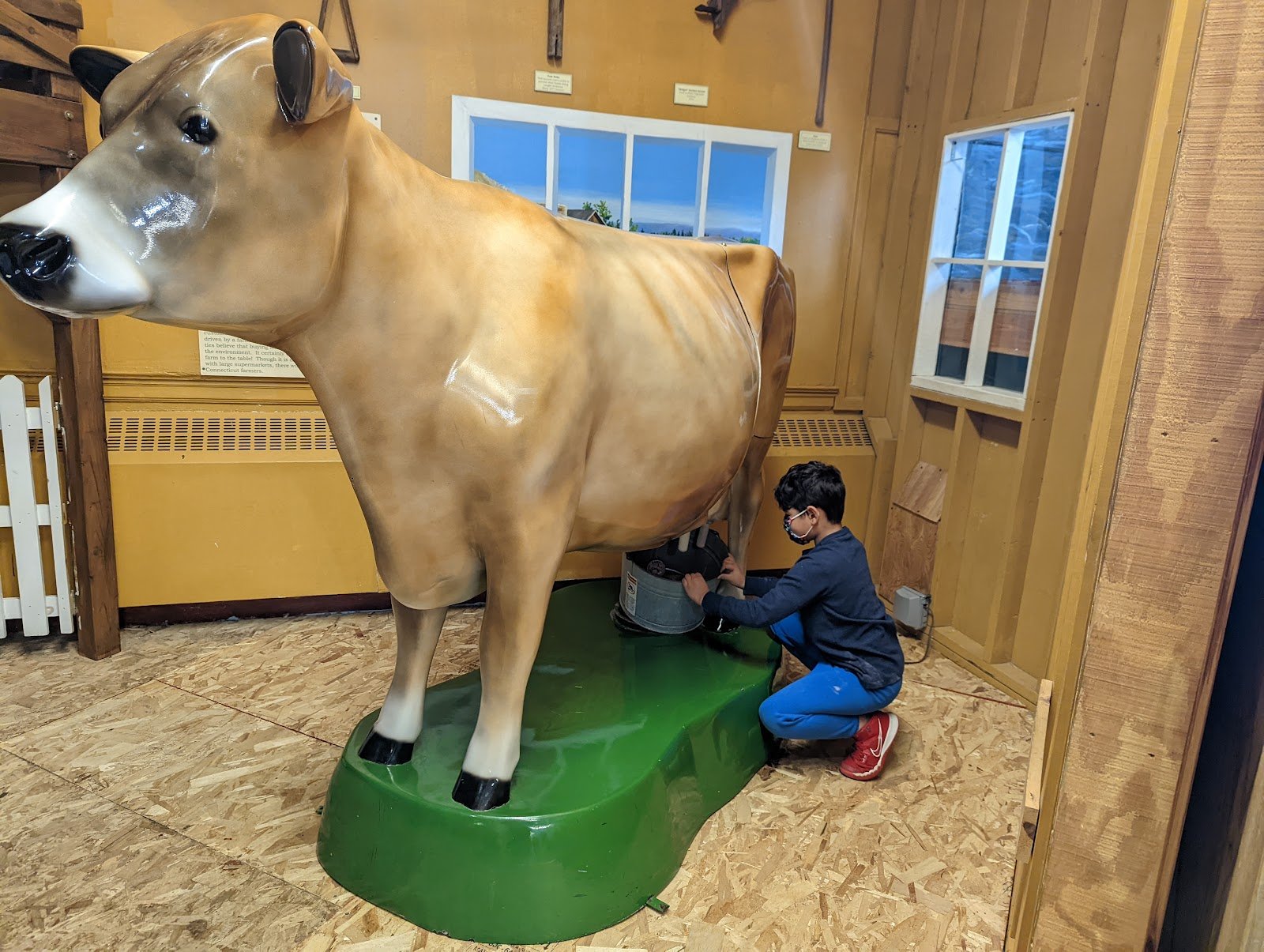lutz-childrens-museum-3