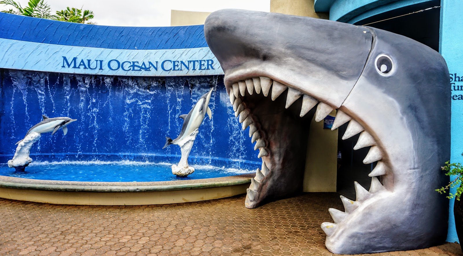 maui-ocean-center-the-aquarium-of-hawaii-2