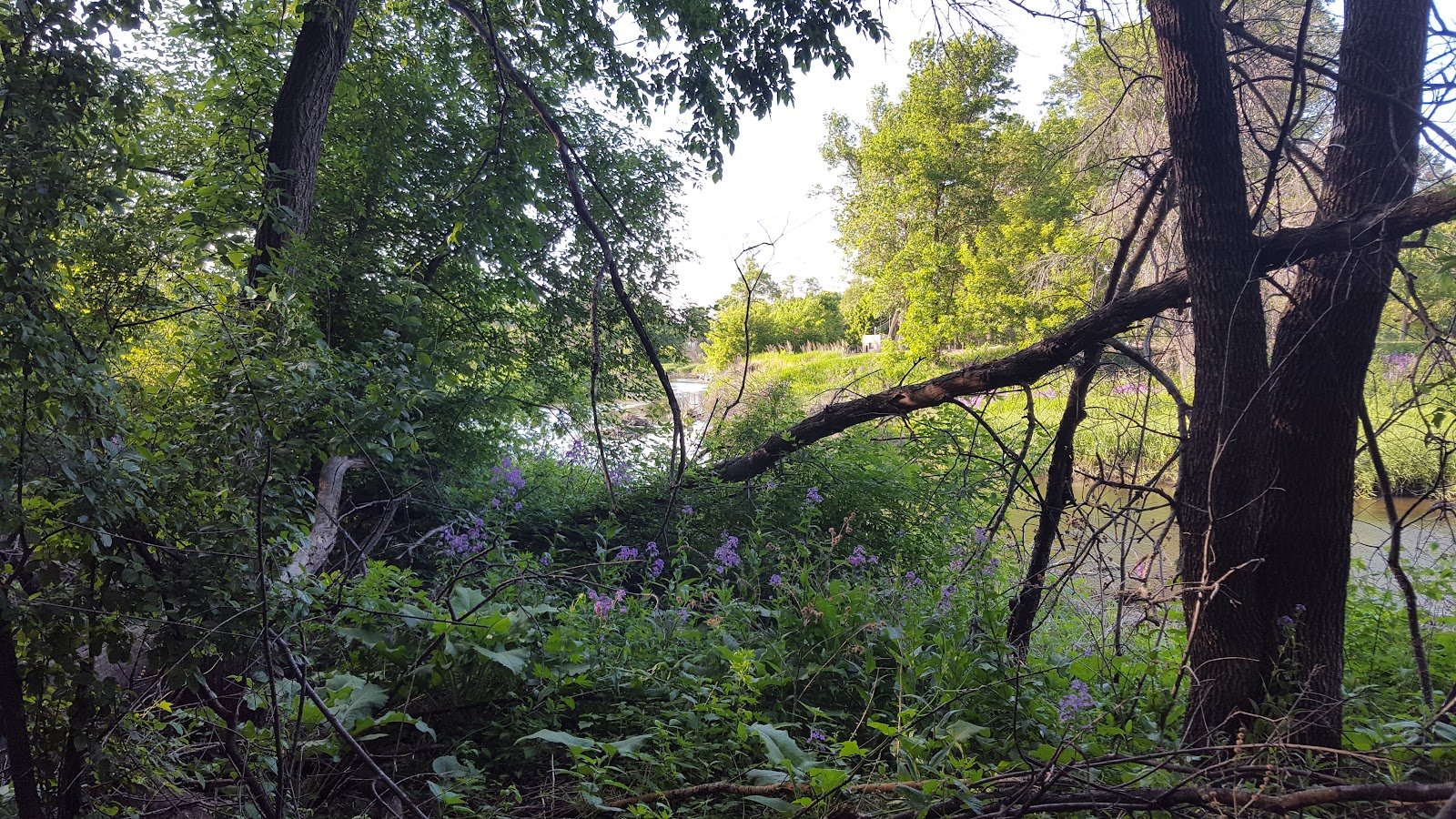 mcelroy-park-4