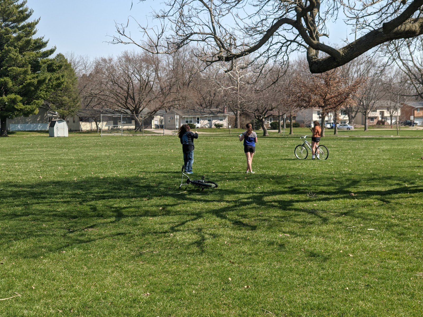 mercer-park-4
