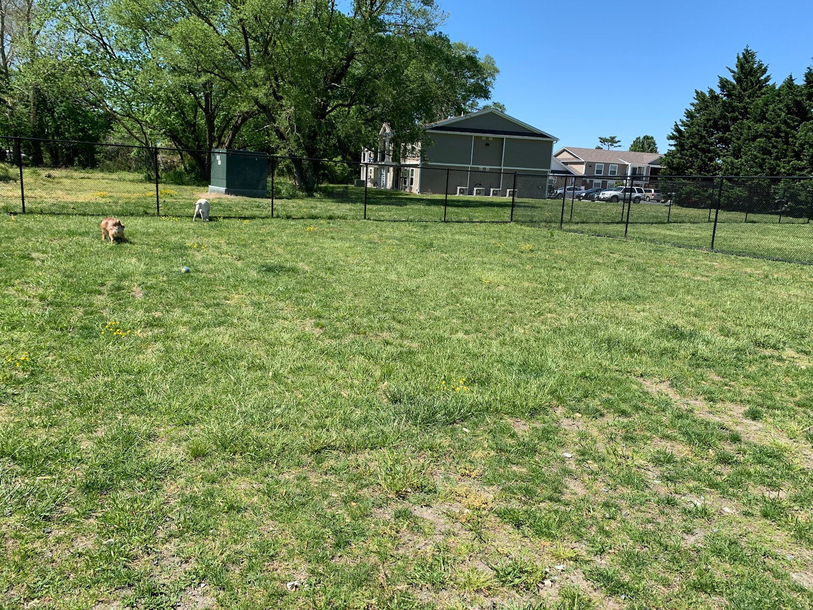 millsboro-dog-park-1