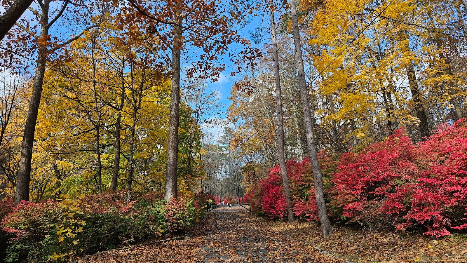 mittineague-park-1