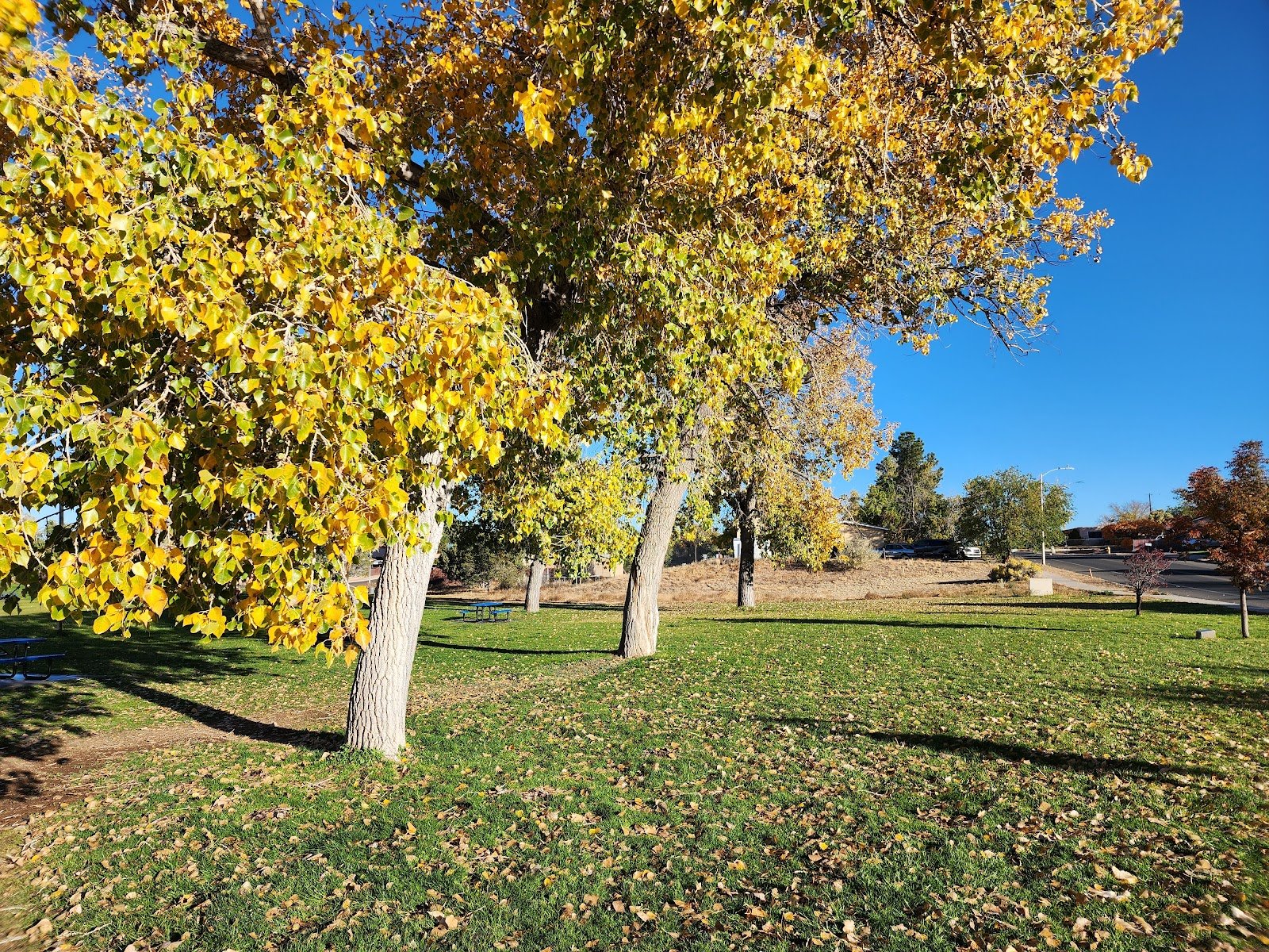 monica-lucero-park-4