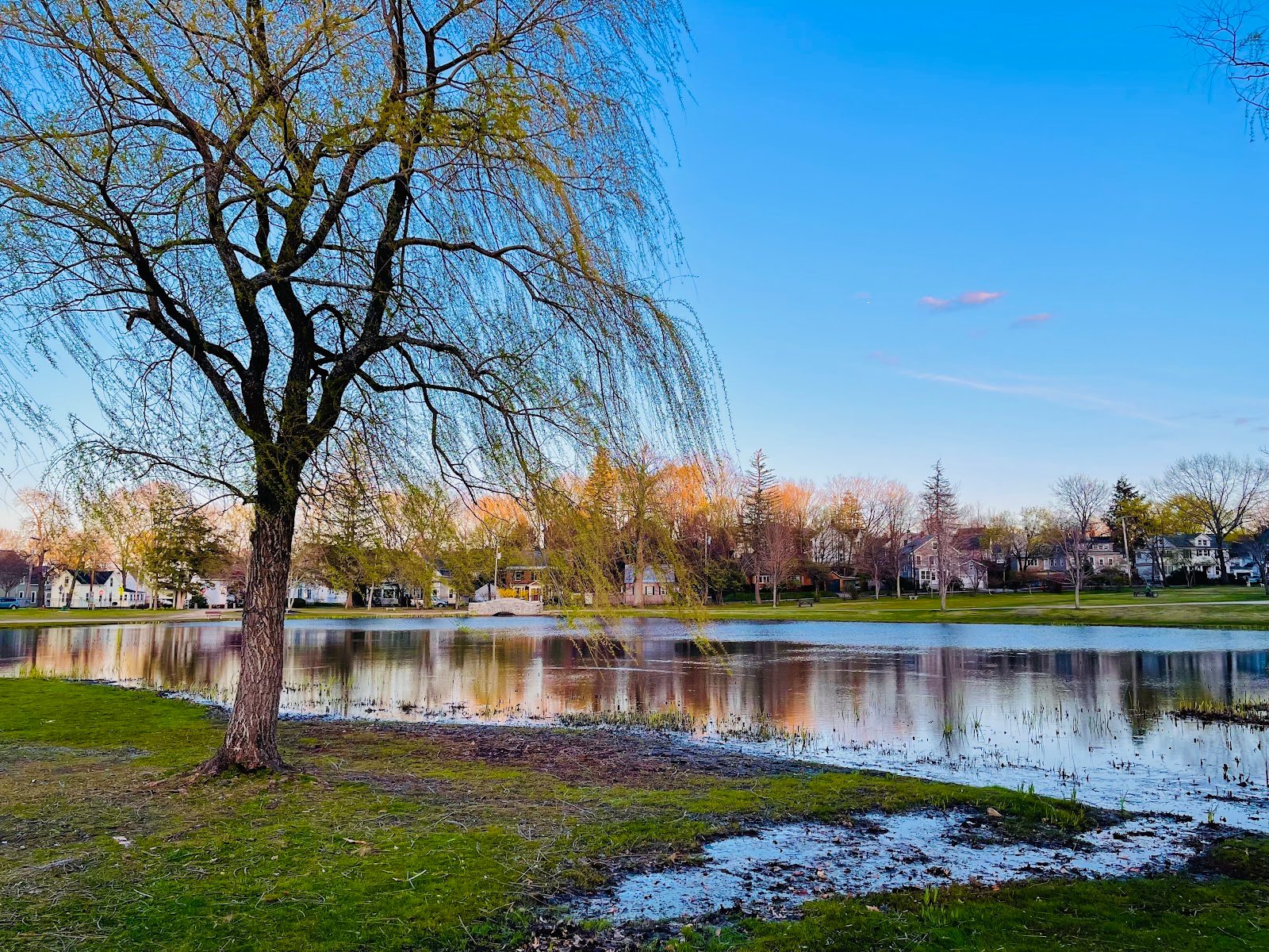 monkey-around-playground-2