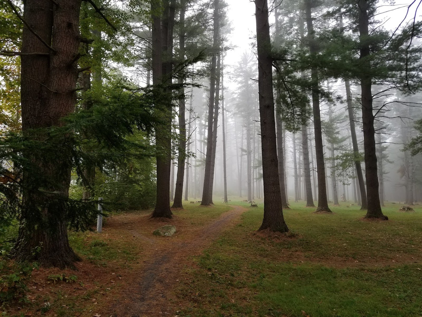 moody-park-1