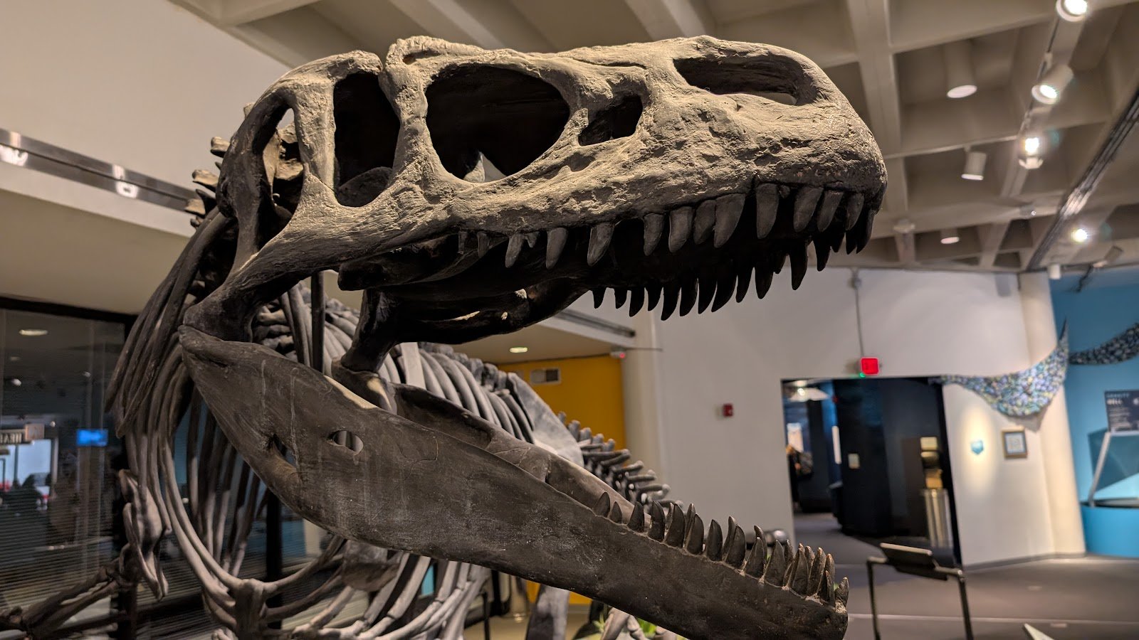 mosh-museum-of-science-history-4