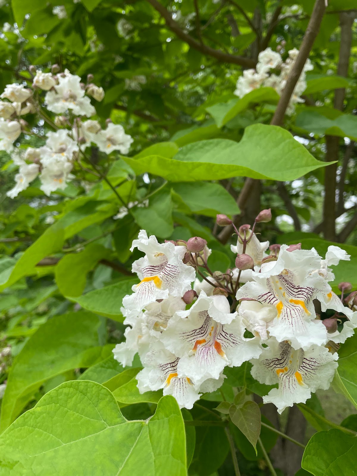 mott-park-recreation-area-3