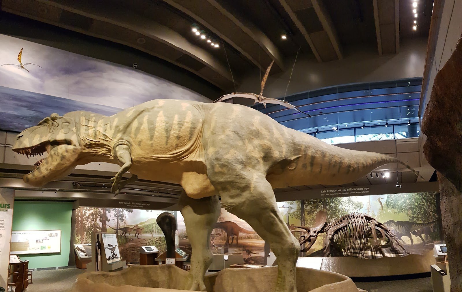 museum-of-science-1