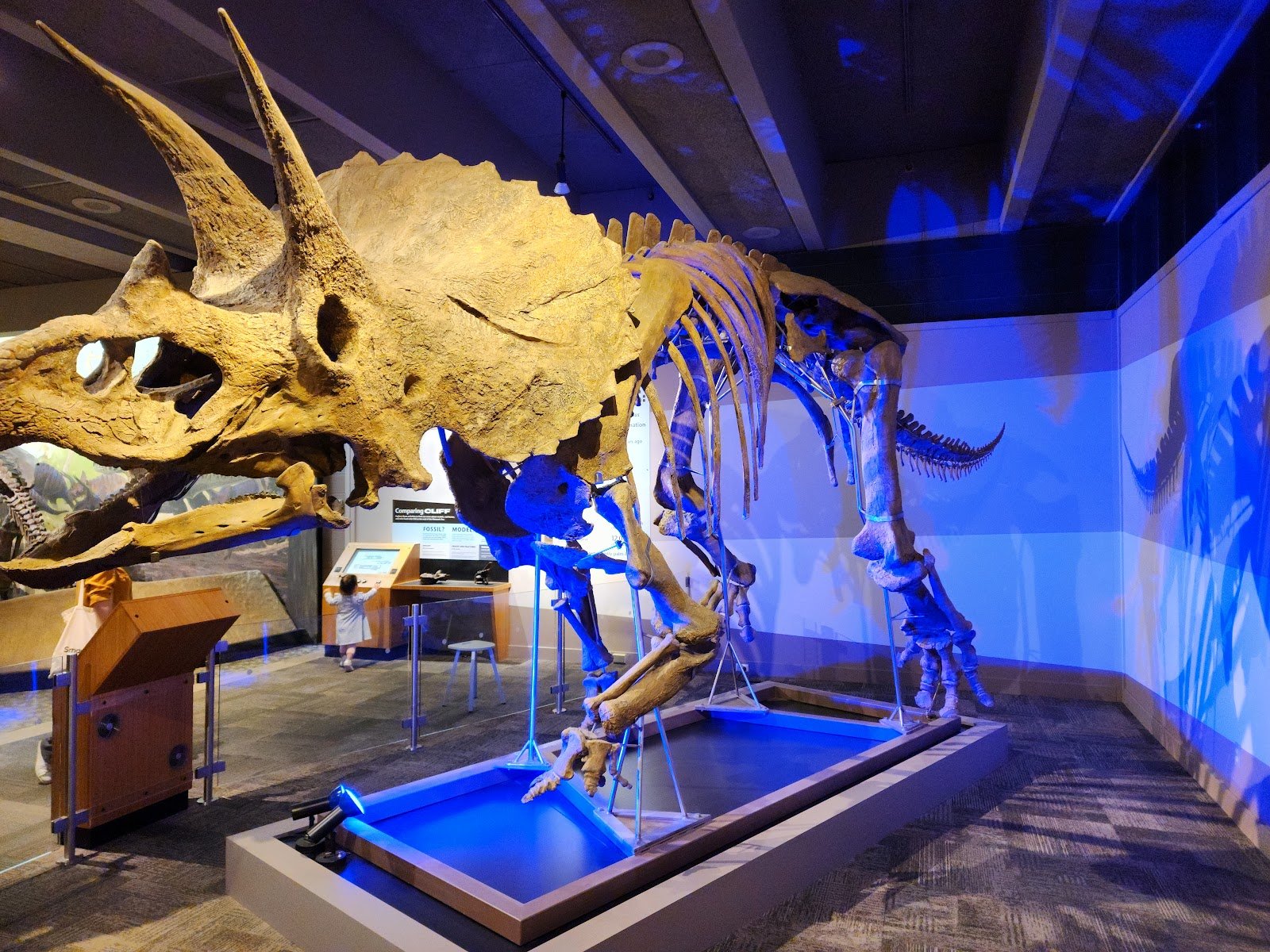 museum-of-science-4