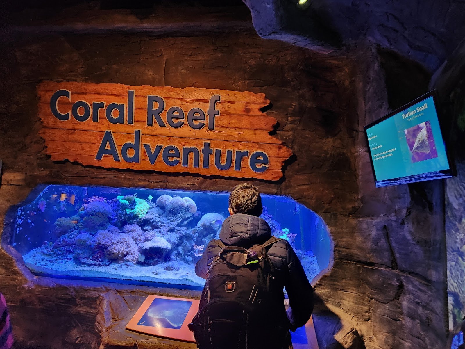 museum-of-science-technology-4