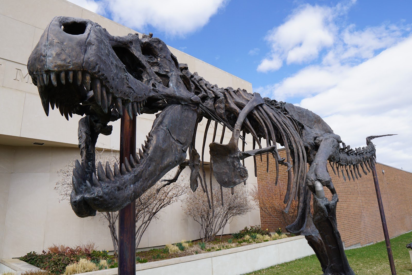 museum-of-the-rockies-2