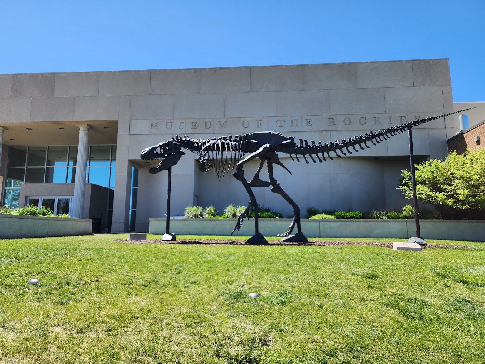 museum-of-the-rockies-4