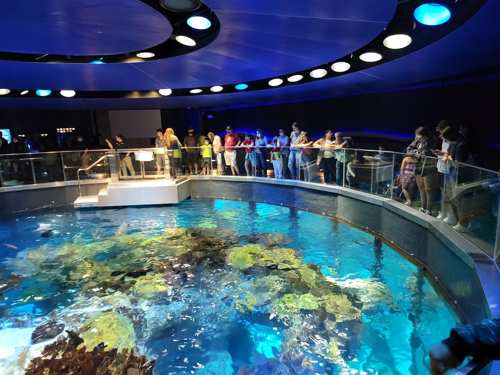 new-england-aquarium-2