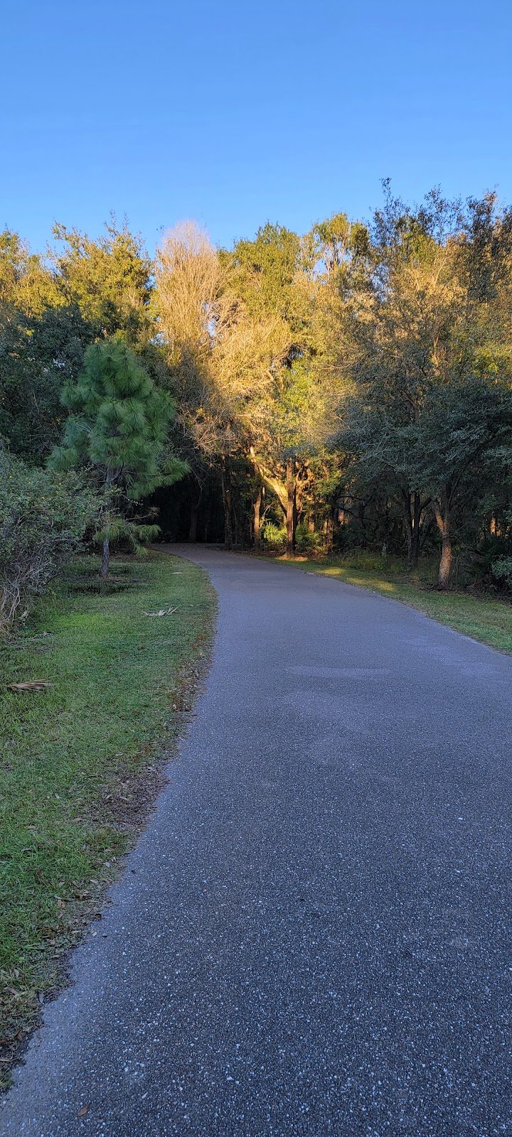 new-tampa-nature-park-play-area-2