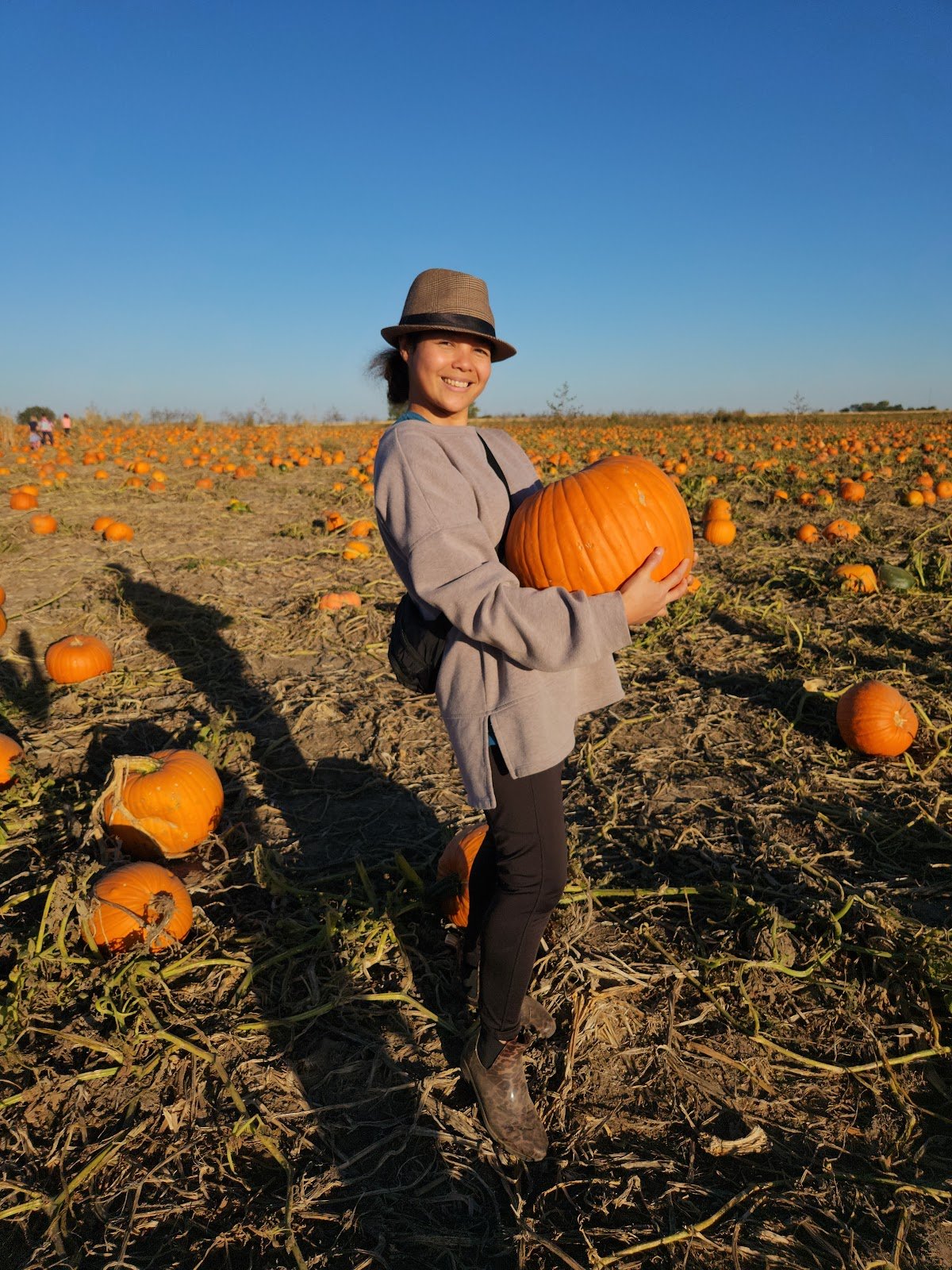 nielsen-kids-upick-pumpkin-sweetcorn-patch-1