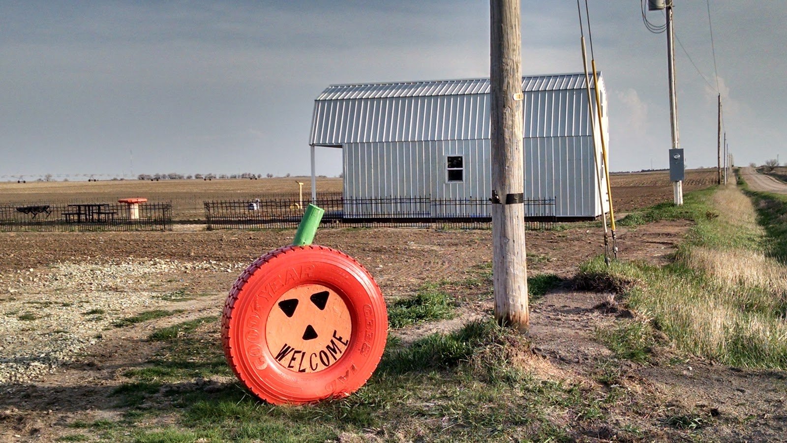 nielsen-kids-upick-pumpkin-sweetcorn-patch-2