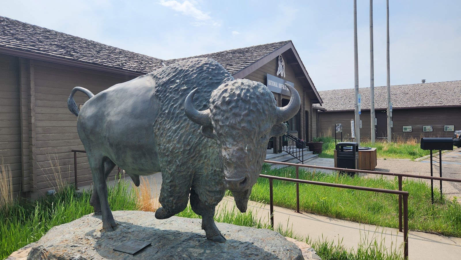 north-american-bison-discovery-center-2
