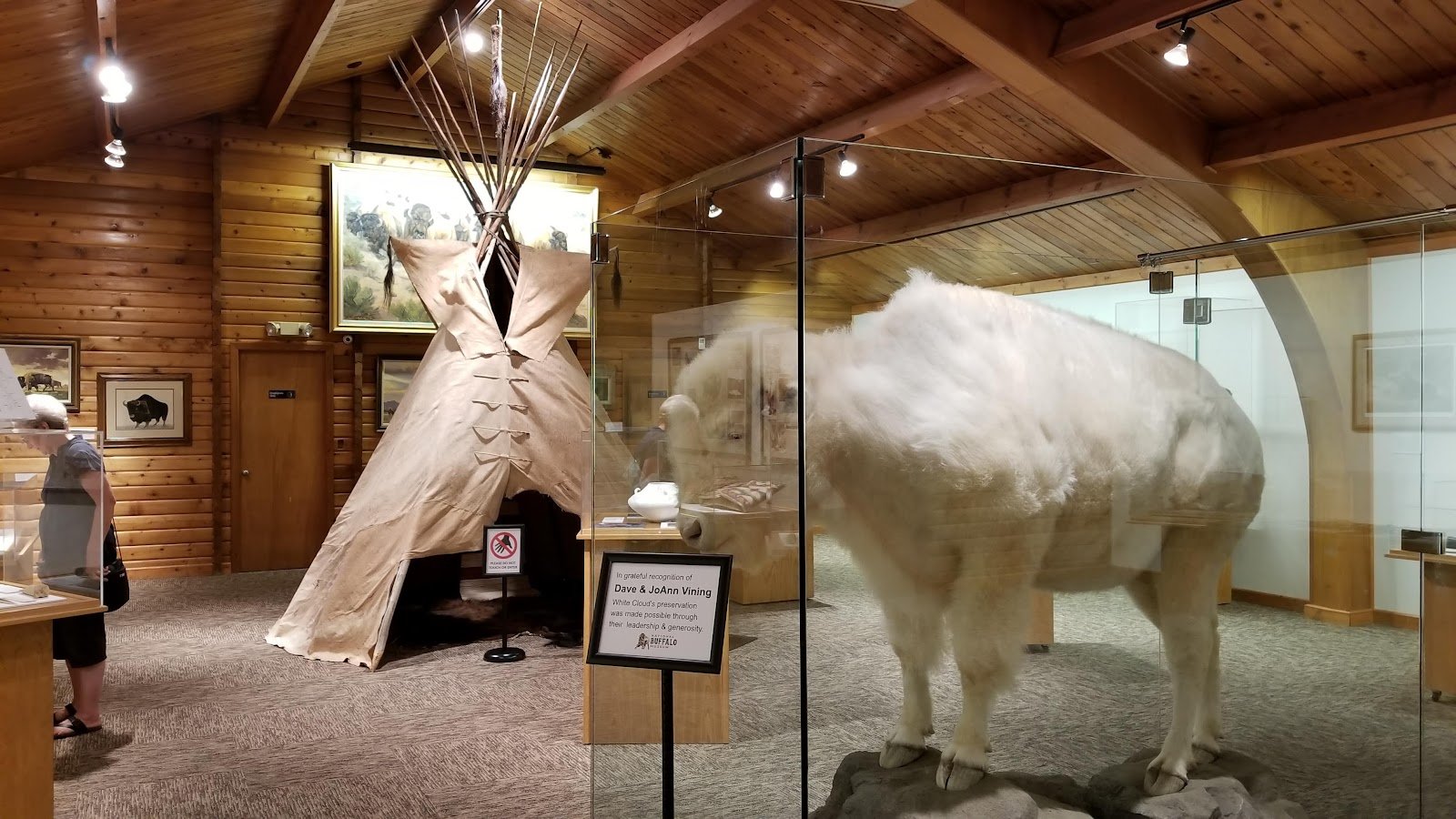 north-american-bison-discovery-center-3