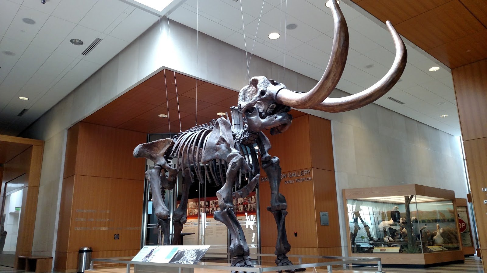 north-dakota-heritage-center-state-museum-3