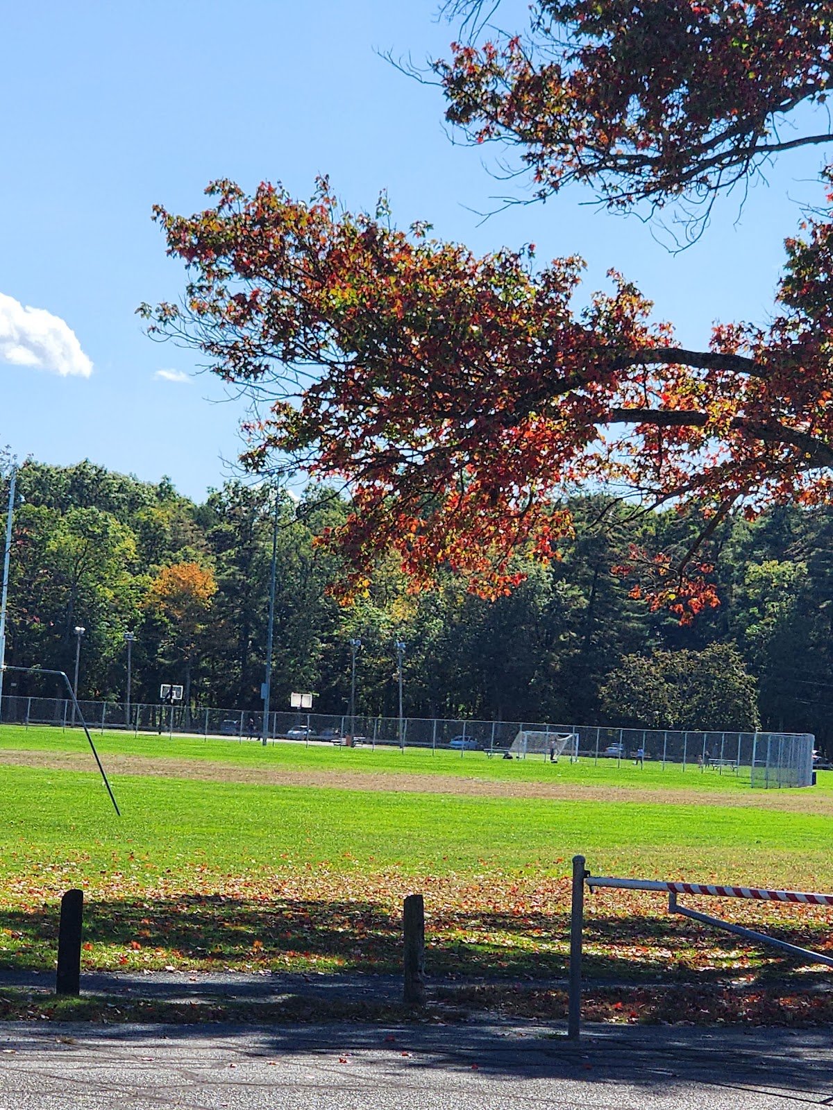 norton-park-4