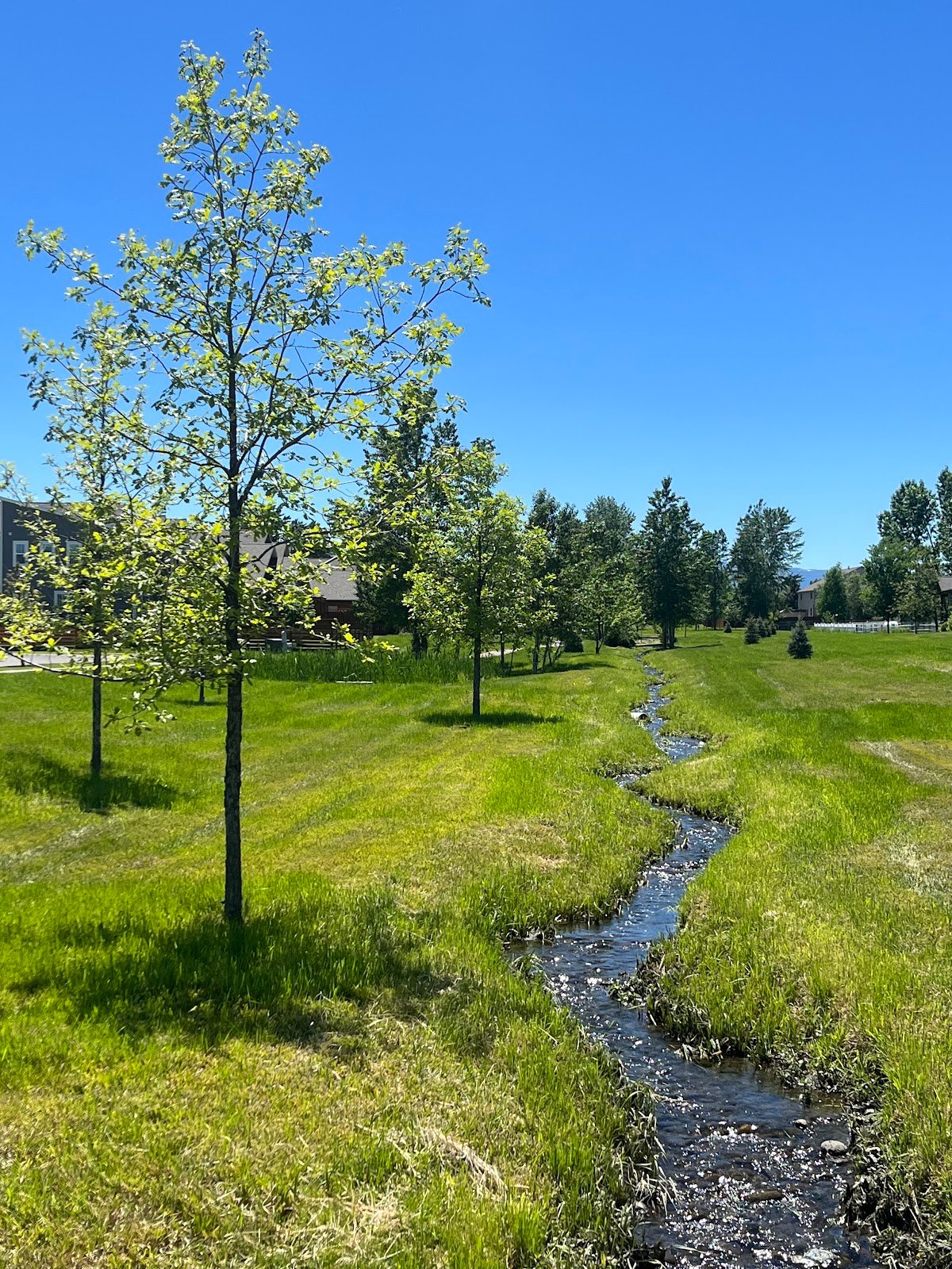oak-springs-park-1