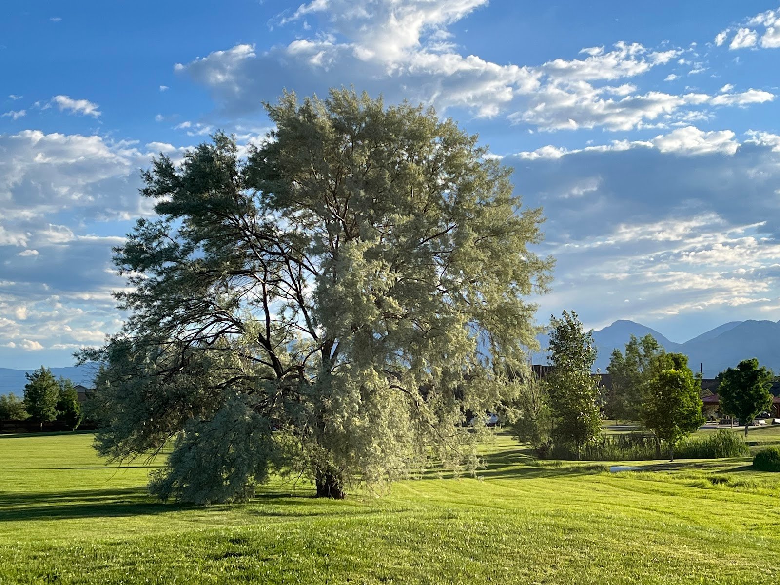 oak-springs-park-3