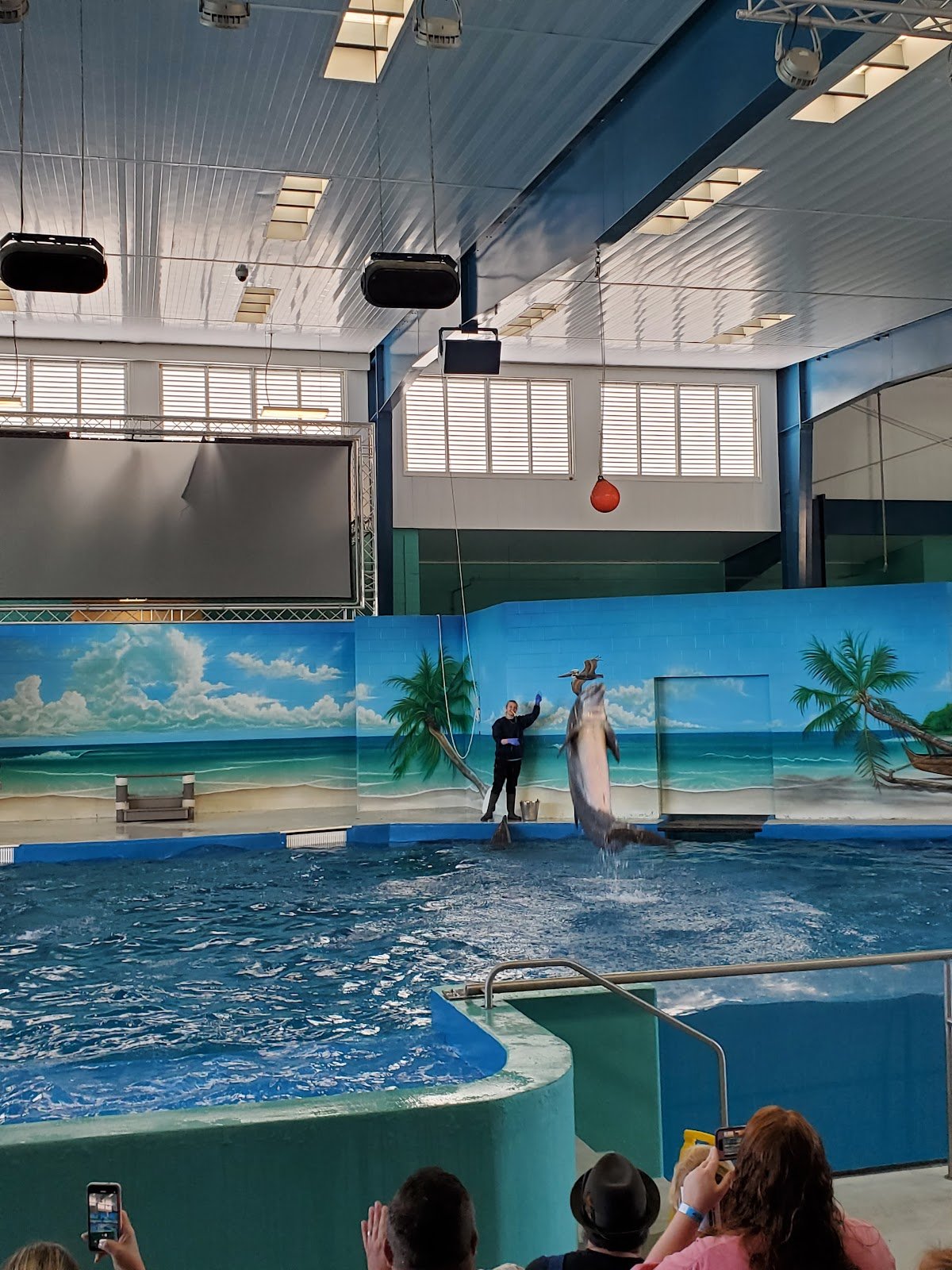 ocean-adventures-marine-park-2