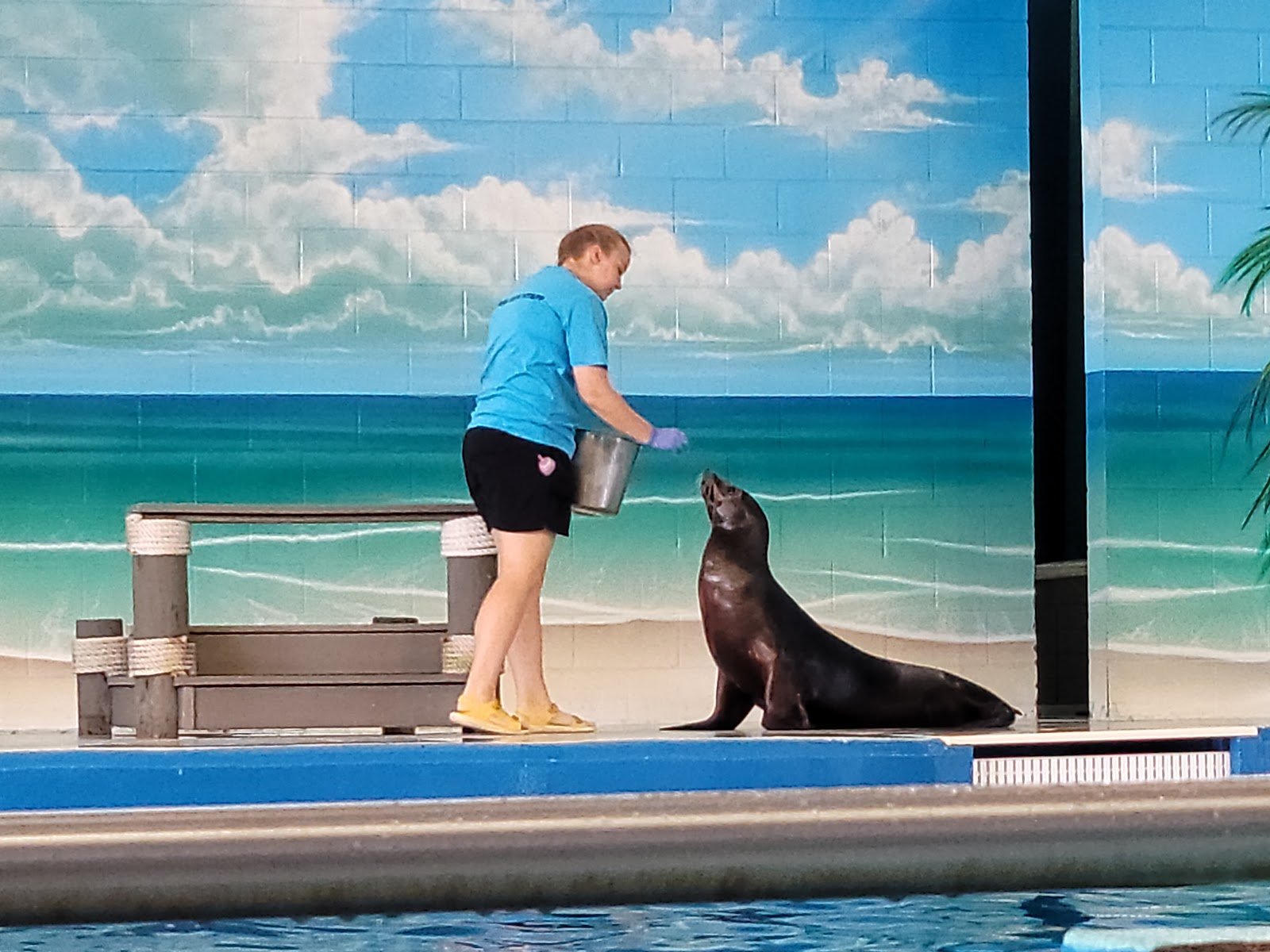 ocean-adventures-marine-park-3