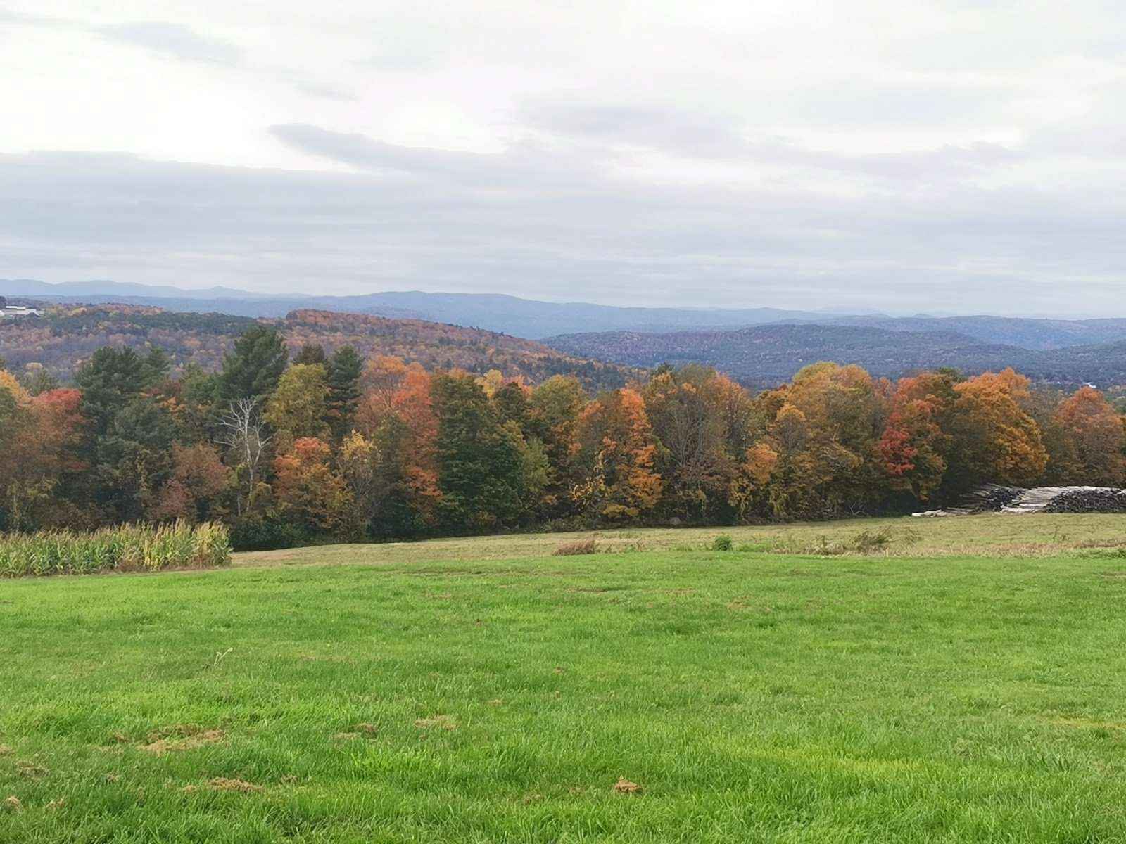 patch-orchards-4