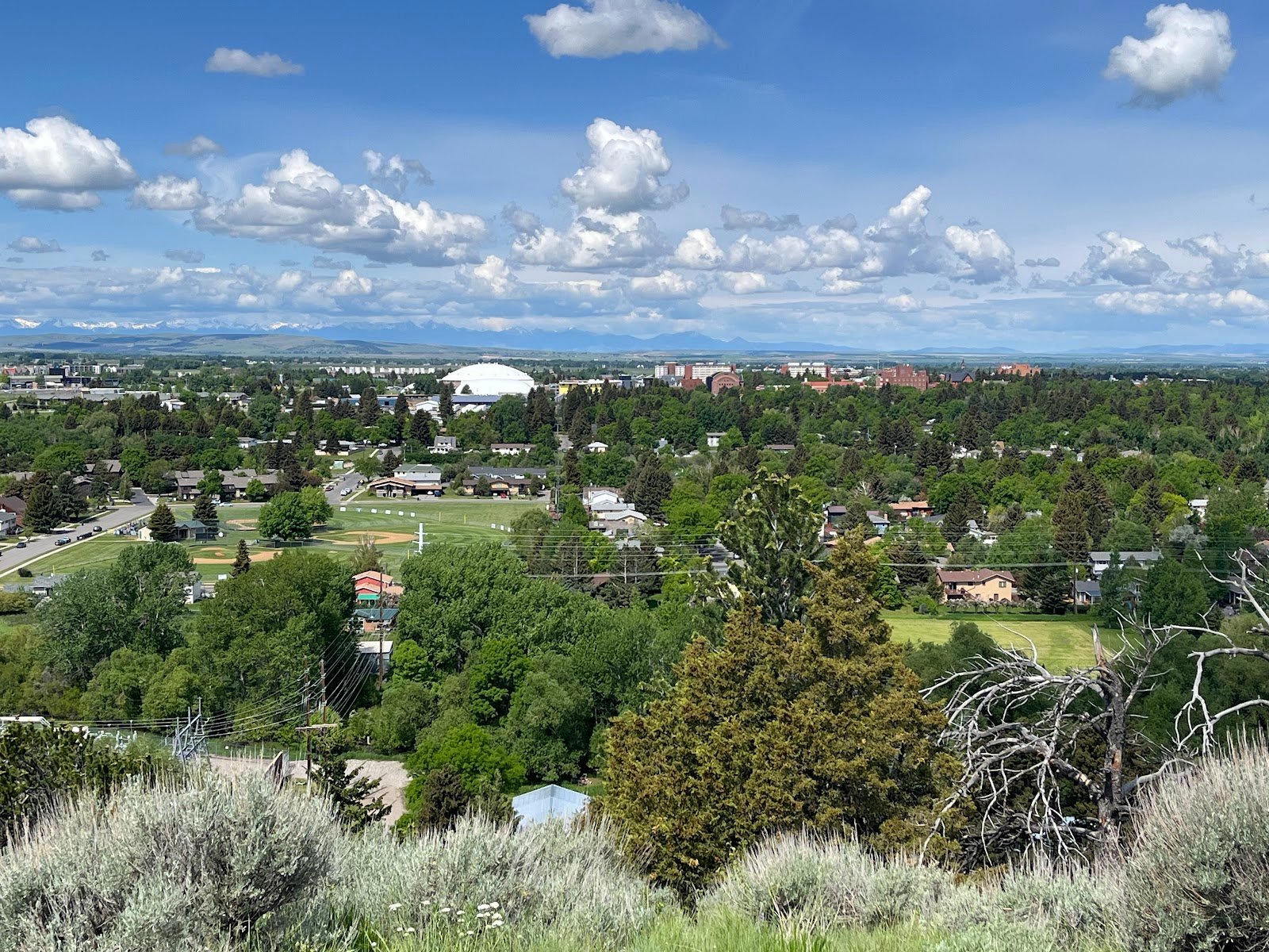 peets-hillburke-park-3