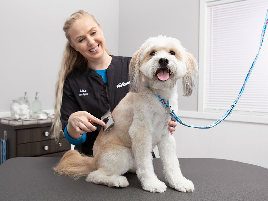 petsmart-4