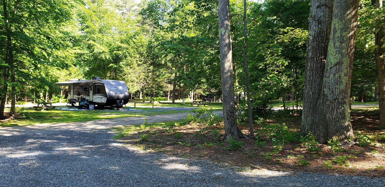 pinederosa-camping-area-4