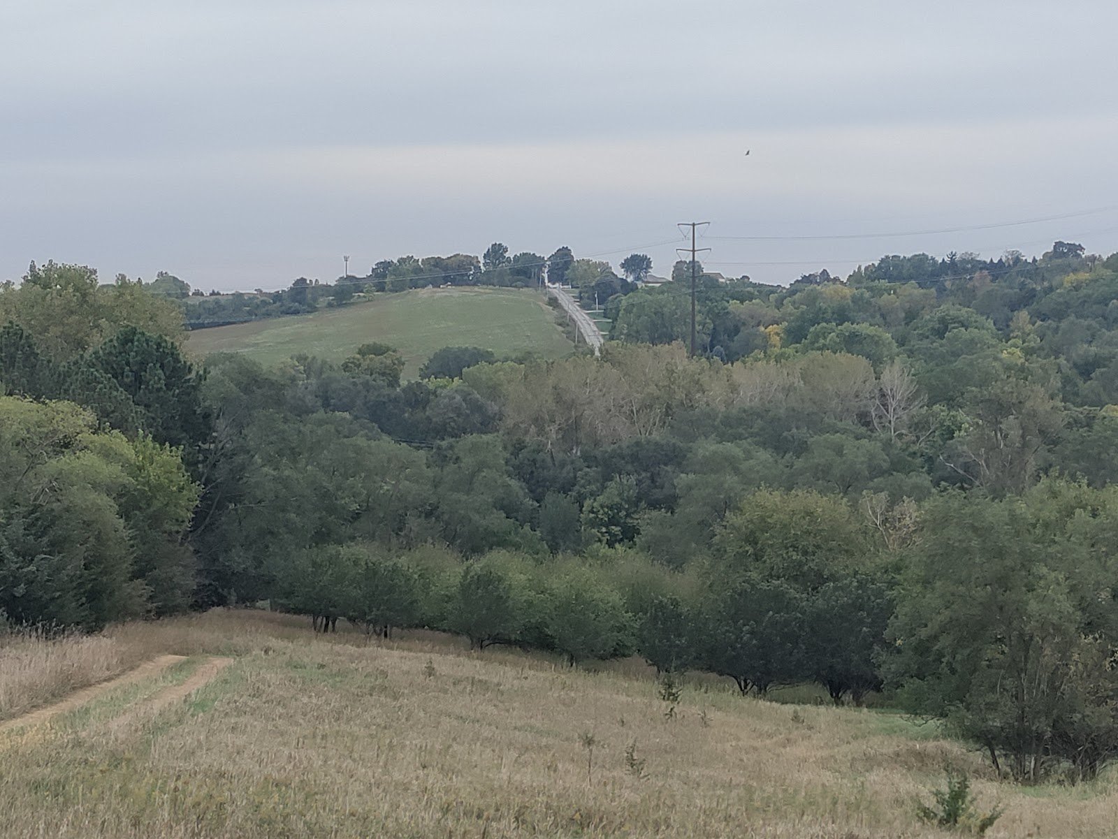 pioneer-trail-orchard-grill-bar-1