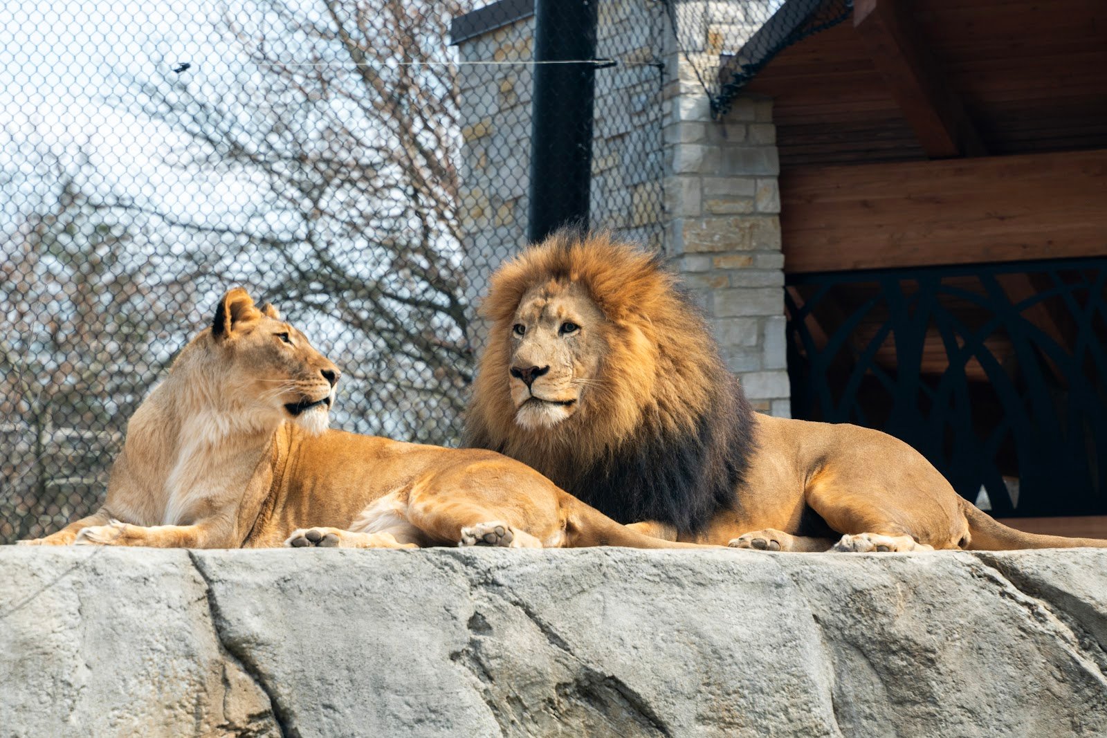 potawatomi-zoo-1