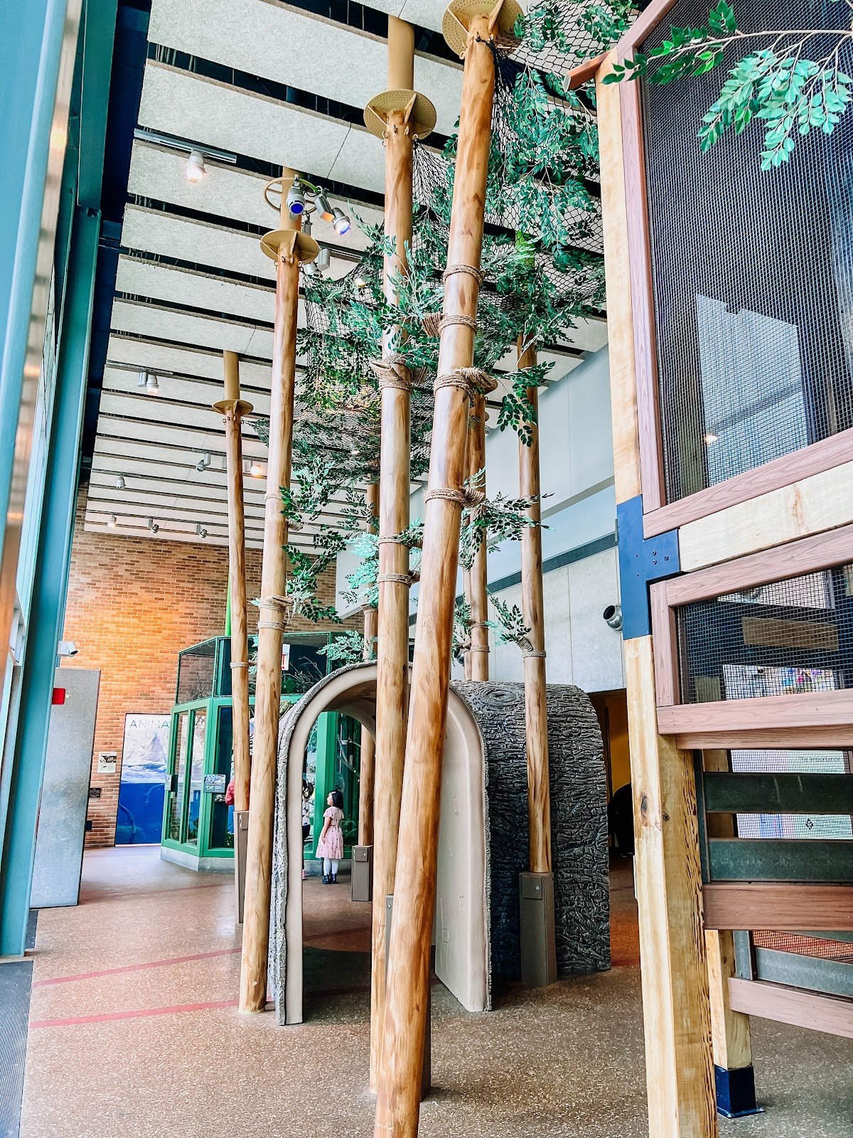 pritzker-family-childrens-zoo-1