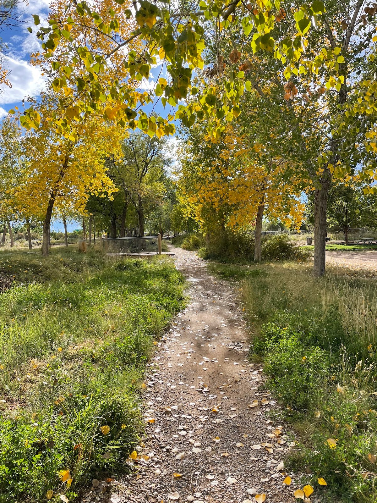 railyard-park-community-room-2