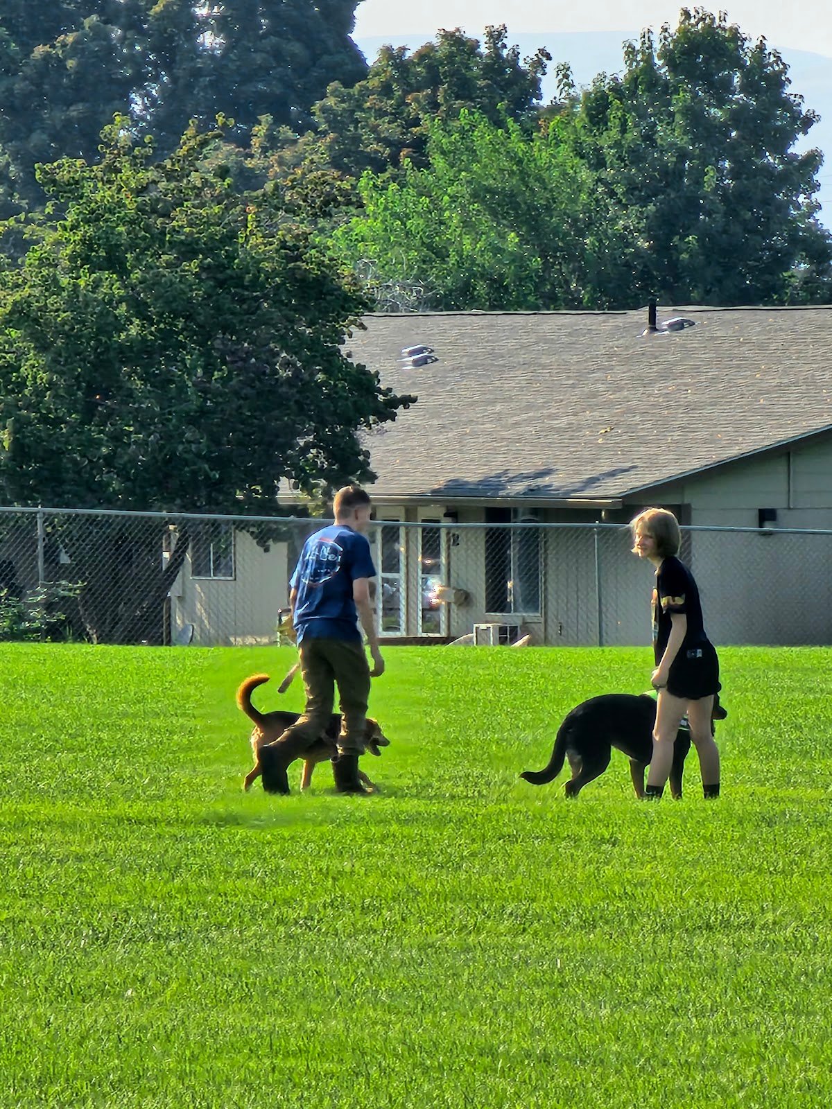 rebuild-the-emerich-castle-park-3